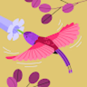 Meet your Posher, Amanda and mike